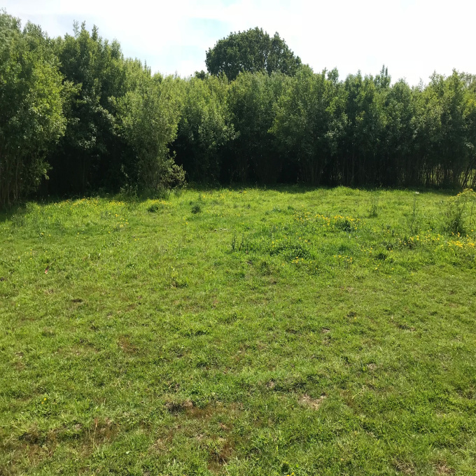 Offres de vente Terrain Plévenon (22240)