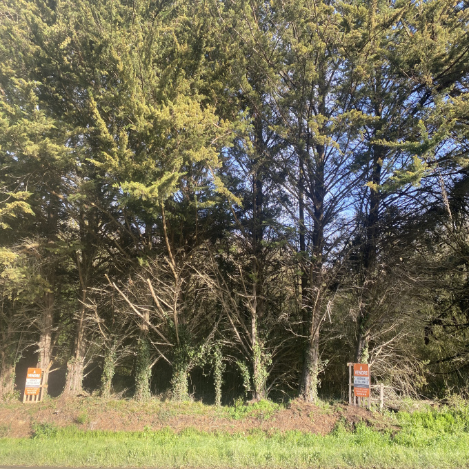 Offres de vente Terrain Plurien (22240)